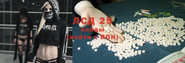 PSILOCYBIN Новокубанск