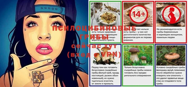 ГАЛЛЮЦИНОГЕННЫЕ ГРИБЫ Нея