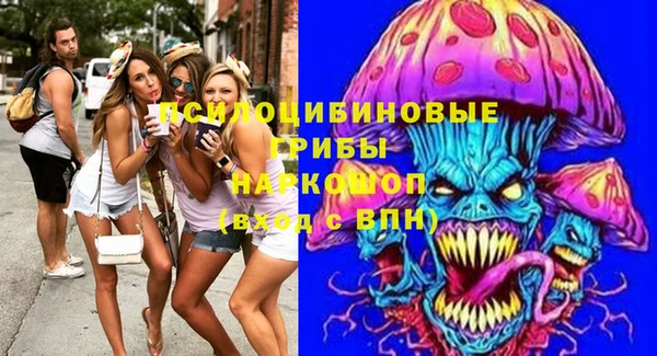 ГАЛЛЮЦИНОГЕННЫЕ ГРИБЫ Нея