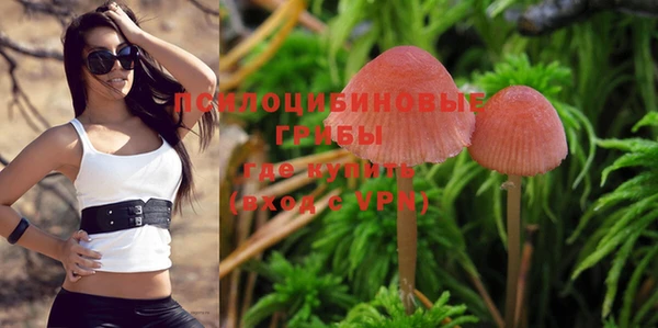 PSILOCYBIN Новокубанск
