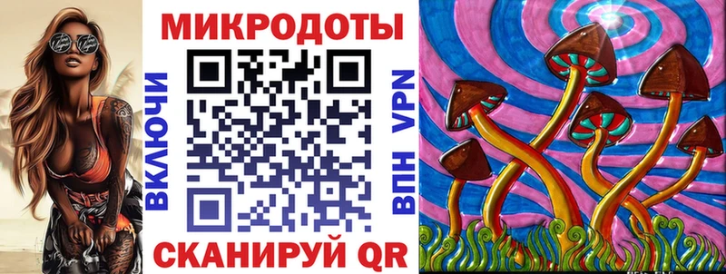 Псилоцибиновые грибы Psilocybine cubensis  Киреевск 