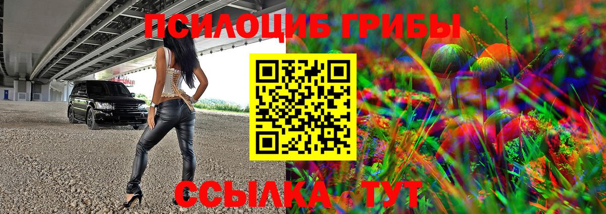 Псилоцибиновые грибы Psilocybe Киреевск